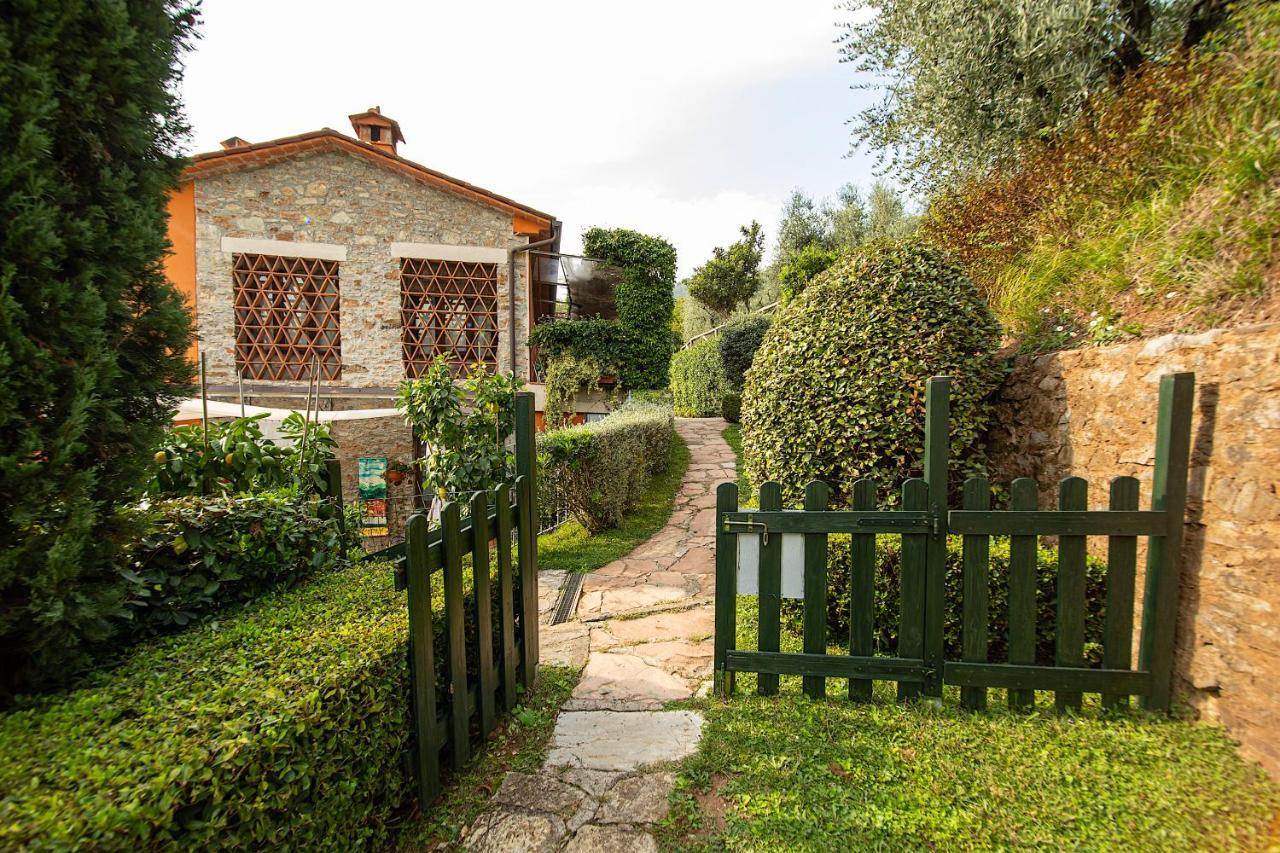Casetta Di Butia, Mimosa Apartment 博尔戈阿莫扎诺 外观 照片