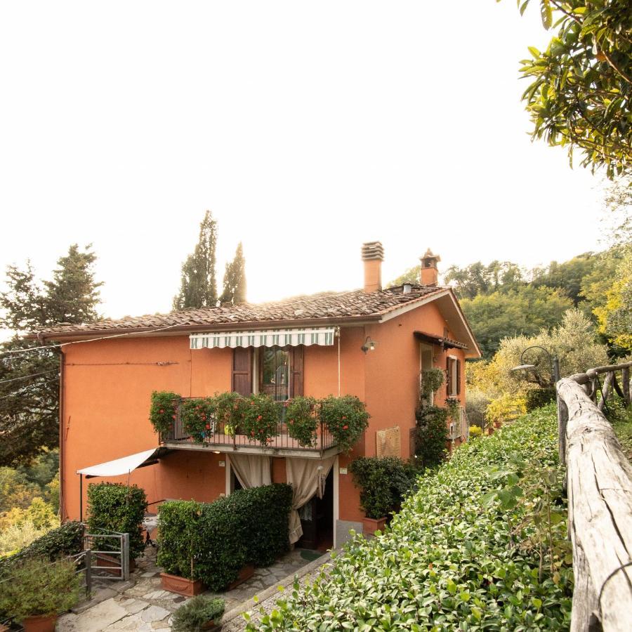 Casetta Di Butia, Mimosa Apartment 博尔戈阿莫扎诺 外观 照片