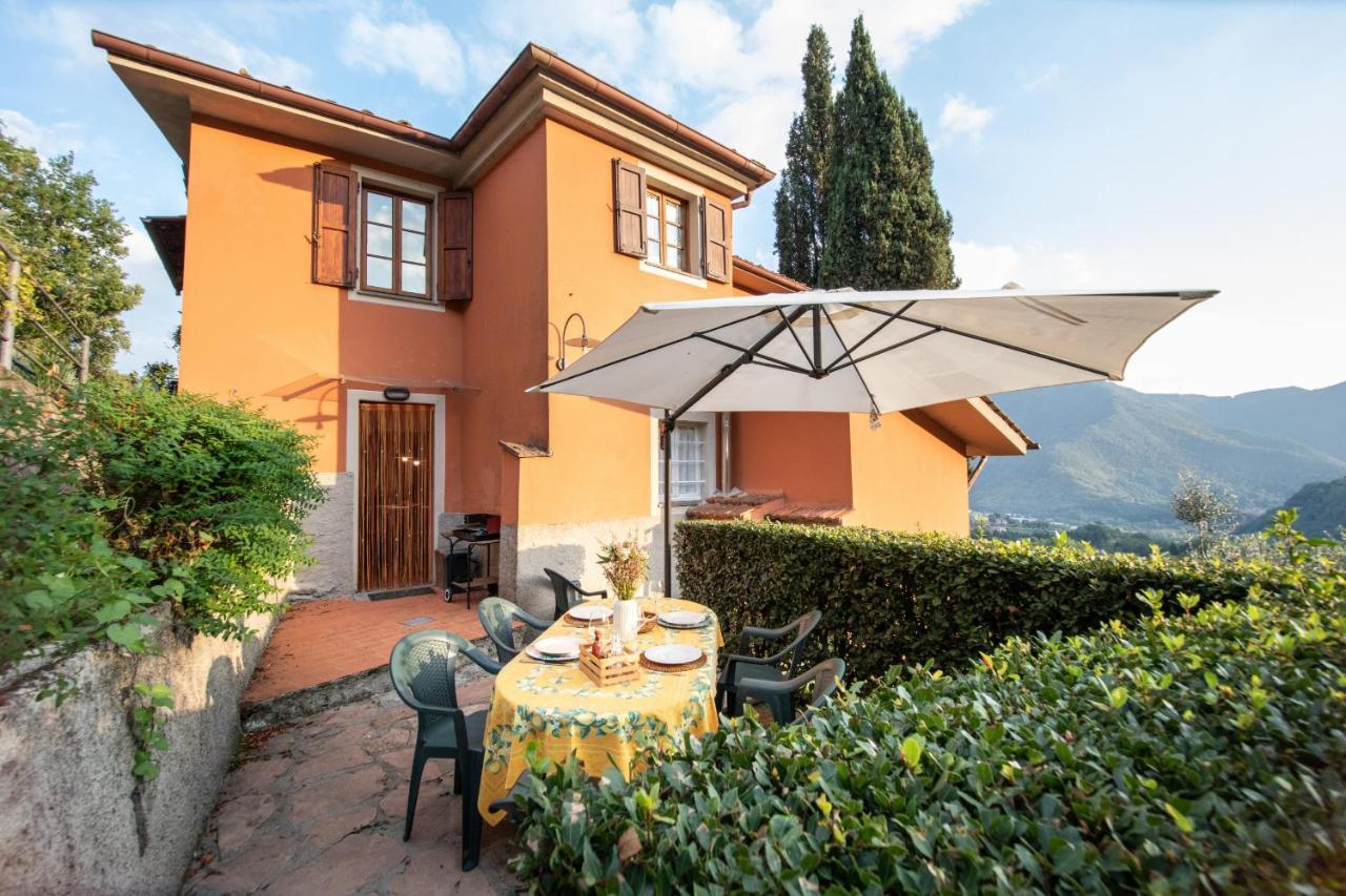 Casetta Di Butia, Mimosa Apartment 博尔戈阿莫扎诺 外观 照片