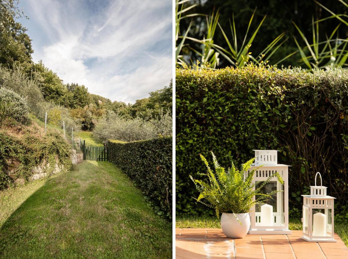 Casetta Di Butia, Mimosa Apartment 博尔戈阿莫扎诺 外观 照片